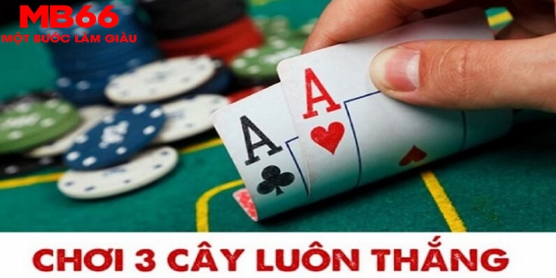 kingbet SA Trực Tuyến