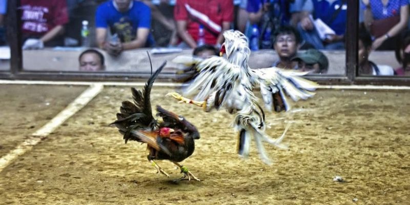kingbet xổ số miền bắc hôm quả