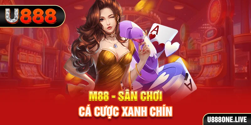kingbet gà chọi cậu thanh