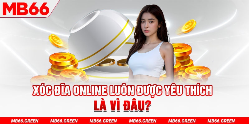 kingbet đá gà thomo trực tiếp hôm nay