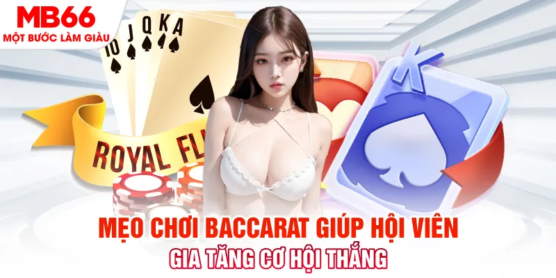 kingbet đá gà 88