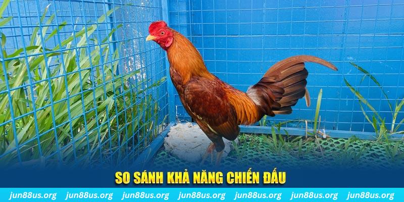 kingbet xổ số tiền giang