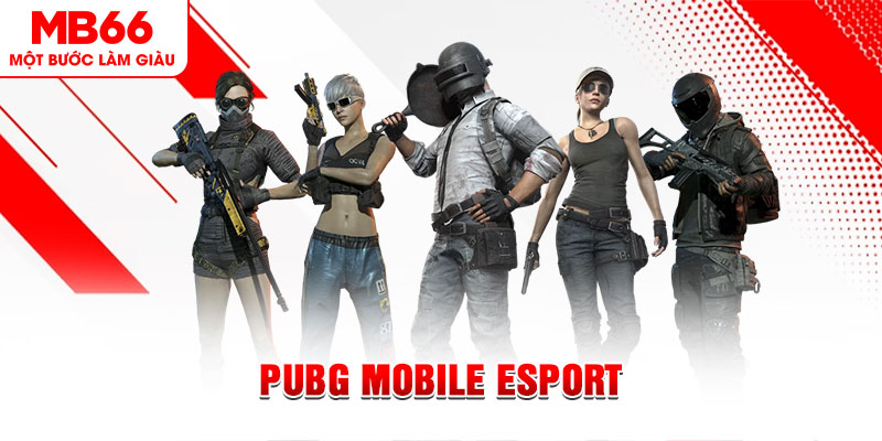 kingbet xổ số minh ngọc – miền nam