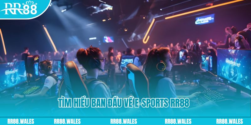 kingbet 8 bit khi nào nổ hũ
