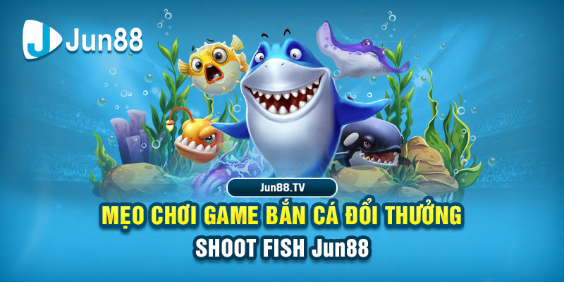 kingbet tai game danh bai bigkool ve may tinh