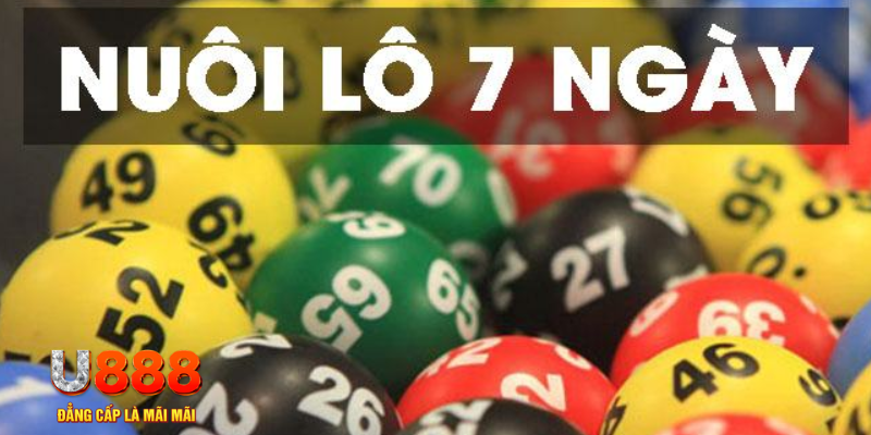 kingbet ON Trực Tuyến