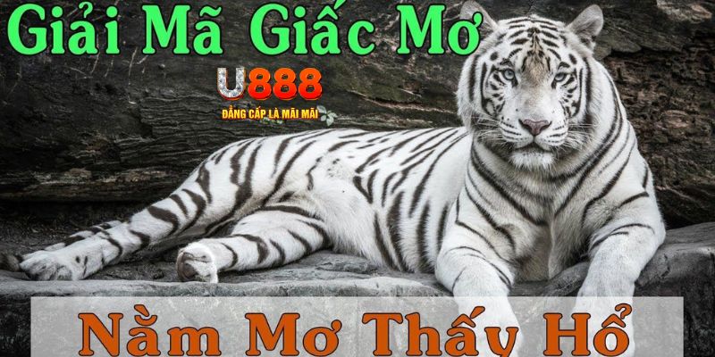 kingbet xổ số kiến thiết miền bắc