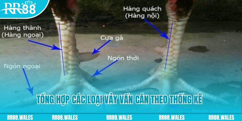 kingbet nổ hũ chơi như thế nào