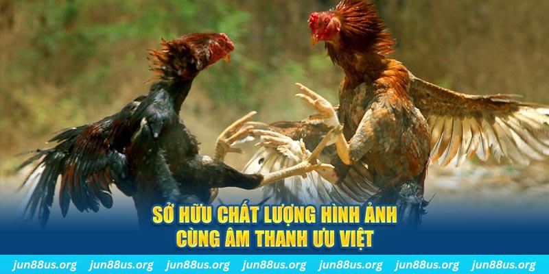 kingbet tai game danh bai ve may tinh