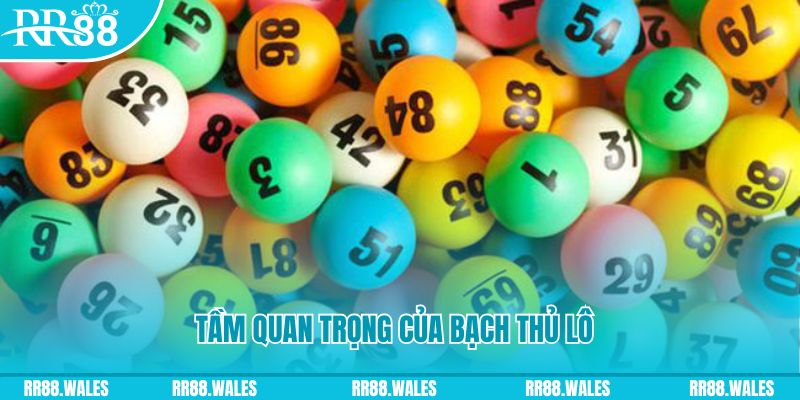 kingbet đá gà trực tiếp casino