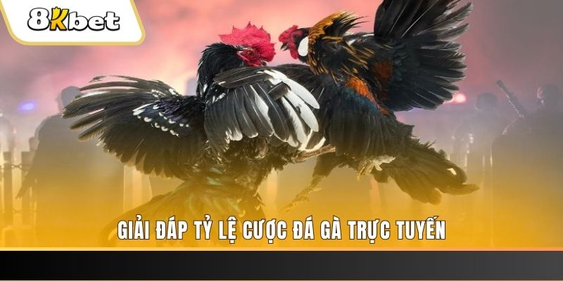 kingbet xổ số ba đài