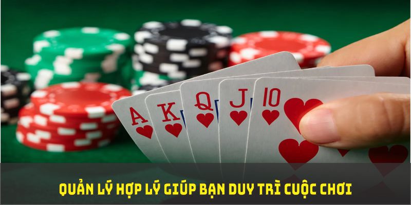 kingbet TP Xổ Số