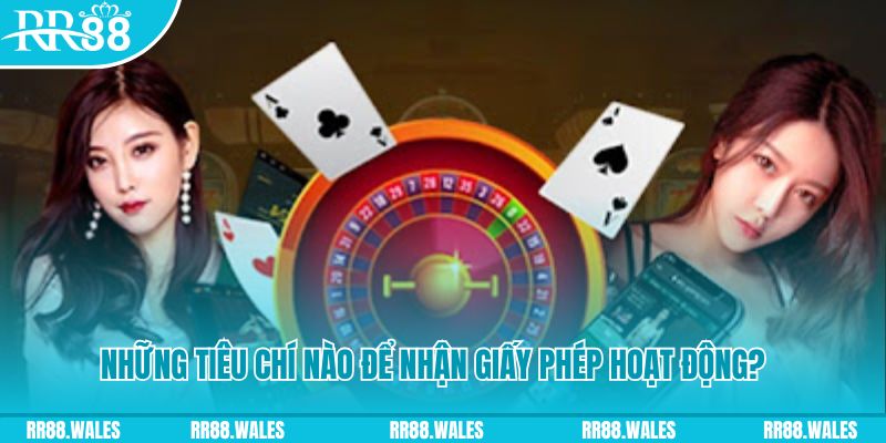kingbet casino ở đâu