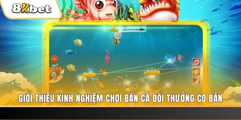 kingbet 8 bí ẩn chơi nổ hũ ít ai biết