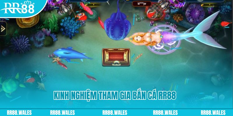 kingbet một slot là gì