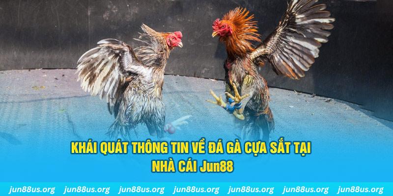 kingbet game bài trên máy tính