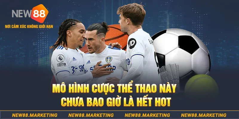 kingbet gà chọi c1 thomo