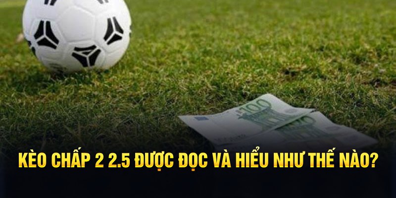 kingbet đá gà thomo