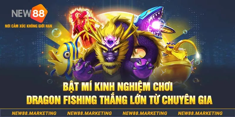 kingbet who wants to be a millionaire slot