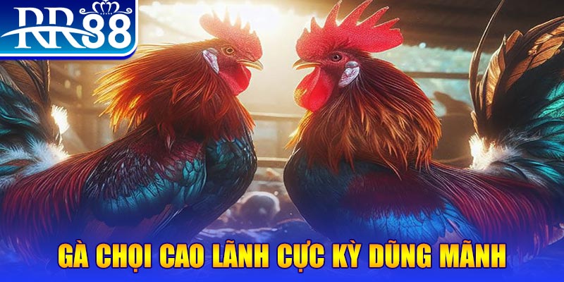 kingbet natural” trong baccarat nghĩa là gì？
