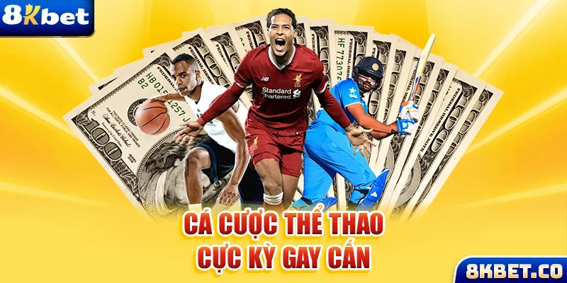 kingbet Bữa tiệc dành cho thanh thiếu niên